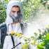 Опрыскиватель GREENWORKS G24BPSII, аккумуляторный, ранцевый, 15л, белый/зеленый [5300307]